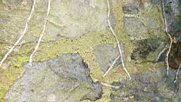 acastle
                          103555.jpg
